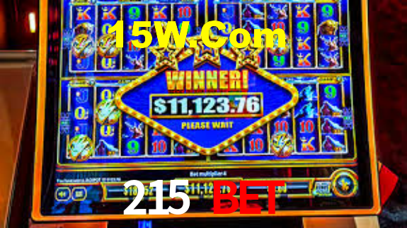 Premium Interface 215 Bet